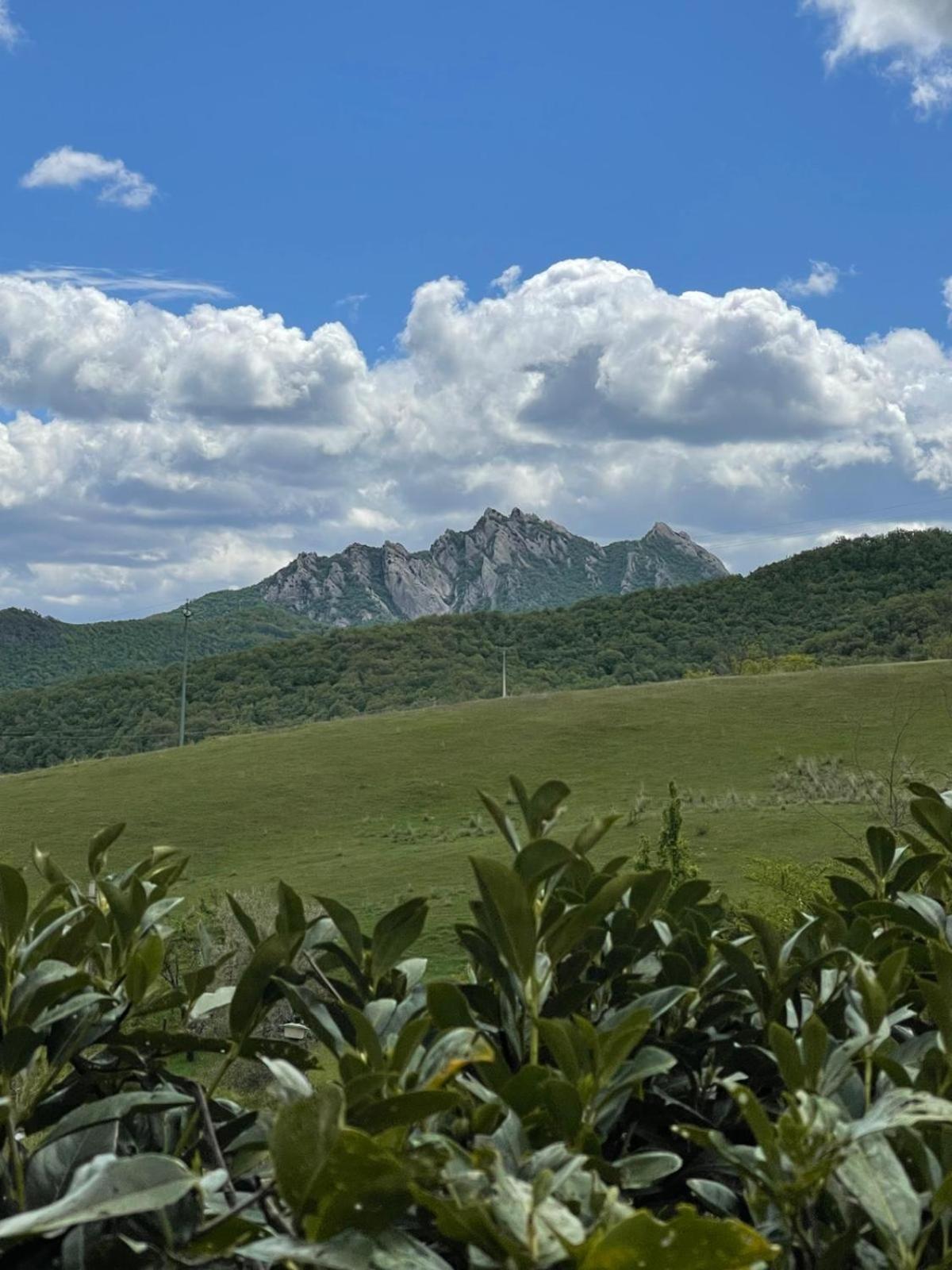 Il Gelso Guest House Trivigno Екстериор снимка
